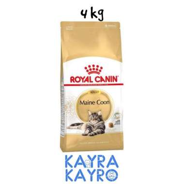Royal Canin Adult Maine Coon Cat 4 kg - Makanan Kucing Dewasa Mainecoon