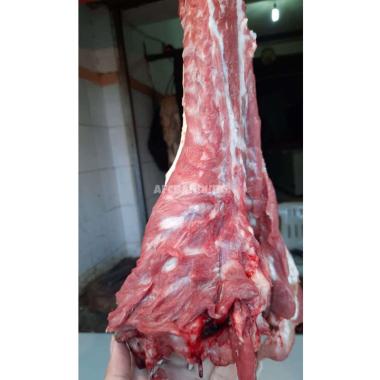 AFCBandung - Daging Lamusir Kambing Has Dalam [1 kg]