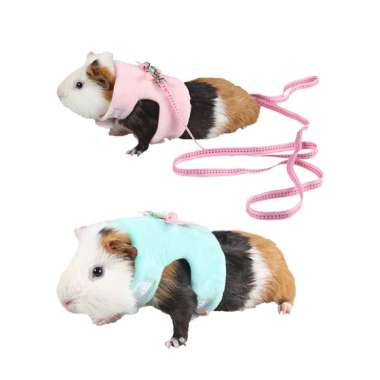 hamster leash diy