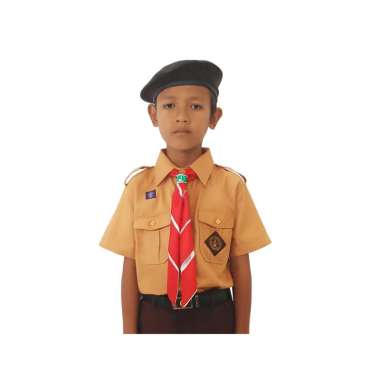 Jual Baju Pramuka Agustus 2021 Banyak Pilihan Harga Murah Blibli