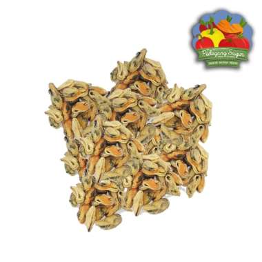 Kerang Harga Terbaru Januari 2021 Blibli Beli produk kerang berkualitas dengan harga murah dari berbagai pelapak di indonesia.