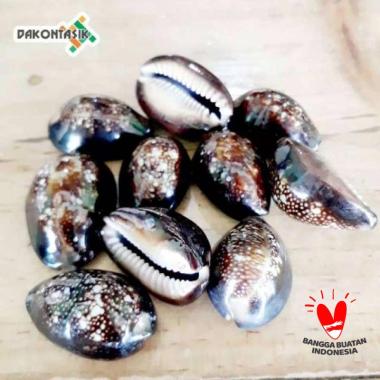 Biji Kuwuk Kerang Coklat Asli Mainan Bekel (Dapat 10biji)