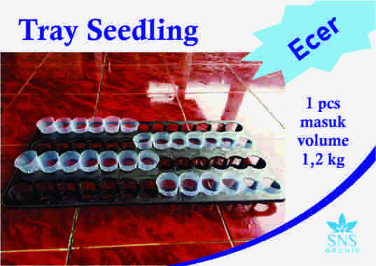 Tray Seedling 52 Lubang holder pot fleksibel semai softpot plastik flexibel anggrek hidroponik