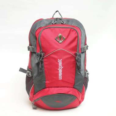 ism daypack
