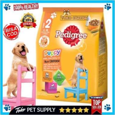 buy pedigree puppy