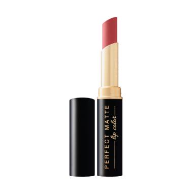VIVA Perfect Matte Barely Lipstick - Nude 704