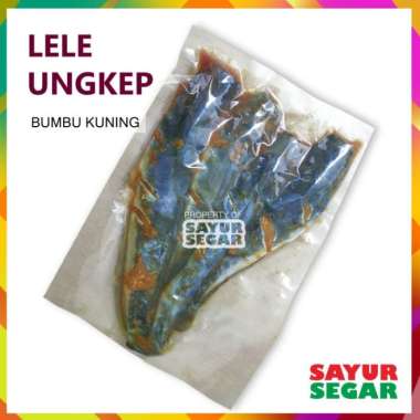 LELE BUMBU KUNING - LELE UNGKEP MENTAH [1 Pack]