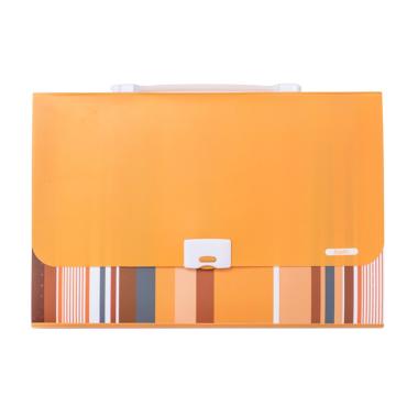 Bantex #3608 06 Fancy Stripes 13 Pocket Folio Expanding File - Yellow Yellow