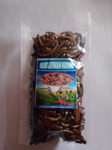 Ulat Jerman Kering 50 Gram