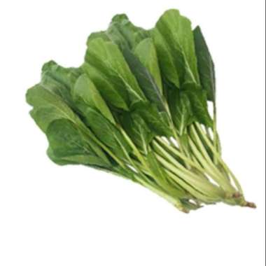 Caisim baby organik pack