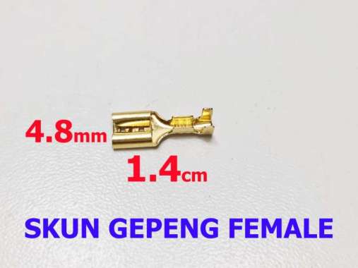 Skun Gepeng 4.8mm Cewek Female Kecil / Soket / Skun Motor / Skun kabel gold