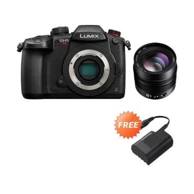lumix gh lumix gh