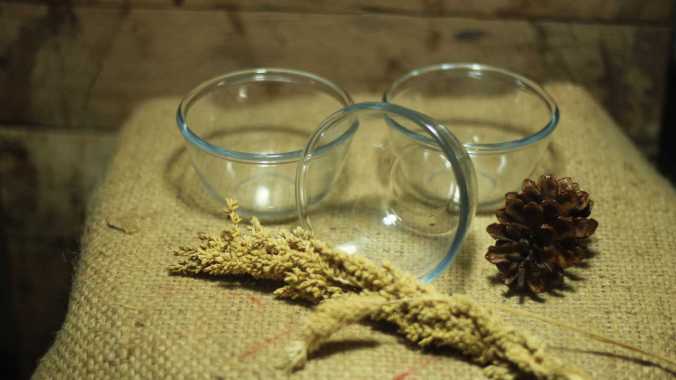 MANGKOK KACA MINI MANGKUK SAMBAL UKURAN KECIL VAS KACA BENING TANAMAN HIAS KAKTUS SUKULEN BAMBU HOKI