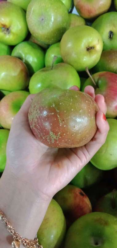 Apel Malang 1kg|Buah Segar|Buah Bandung