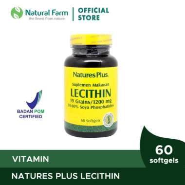 Natures Plus Lecithin 1200 mg (60 Softgels)
