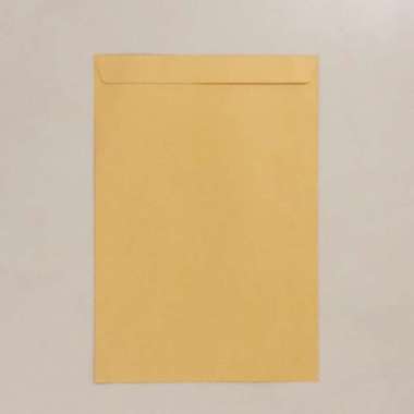 AMPLOP COKLAT POLIO EXECUTIVE