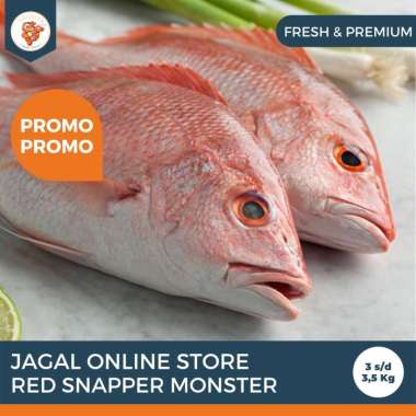 Jagal Online Store - Ikan Red Snapper Monster Fresh / Ikan Kakap Merah Jumbo 2,5 kg - 5 kg per ekor 
