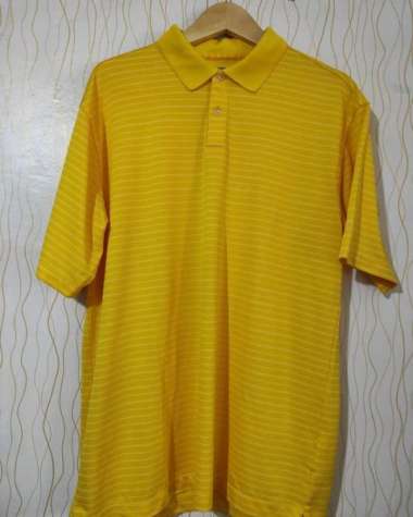 nike golf performance polo