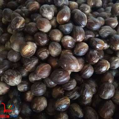 Buah pala Aceh Selatan Kering per 1 biji