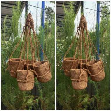 pot anggrek sabut kelapa gantung