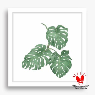 Gambar Daun Monstera Kartun Gambar Bagian Tumbuhan