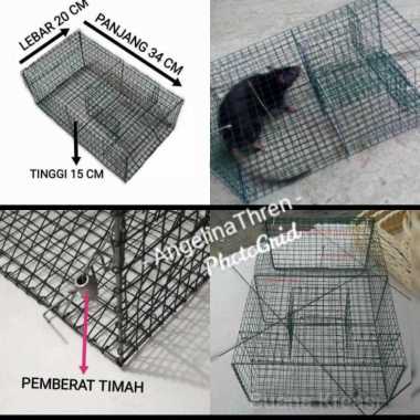 Jebakan Tikus Massal - Perangkap Tikus Massal Dengan Pemberat
