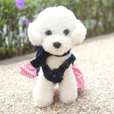 Daftar Harga Harga 30 Puppy Pet Terbaru Februari 2020 Terupdate