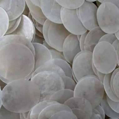 Simping Kerang Untuk Craft Kerang Kulit Kerang 1kg