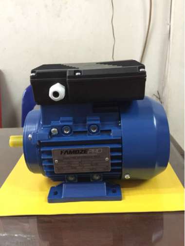Electro Motor Famoze Pro 1/2 Hp 1400 rpm with Bonus pully
