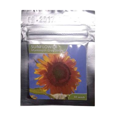 Jual Bibit Sunflower Online Baru Harga Termurah Juni 2020 Blibli Com
