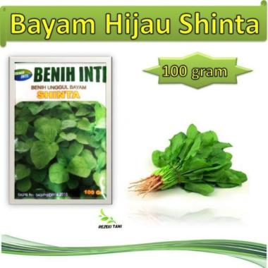 Jual Bibit Bayam Terbaru Harga Murah Blibli Com