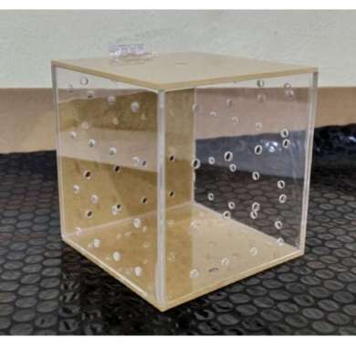 OEM Box Karantina / Aklamasi untuk Ikan dll Y