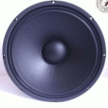 SPEAKER ACR FABULOUS 12 INCH ARRAY 3060
