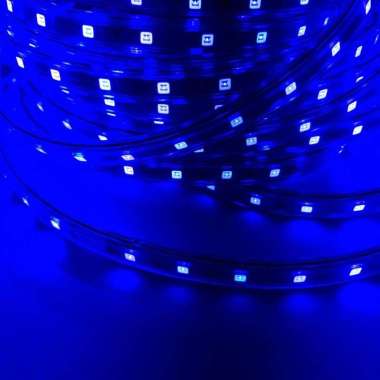 Lampu LED strip selang 5050 SMD Biru
