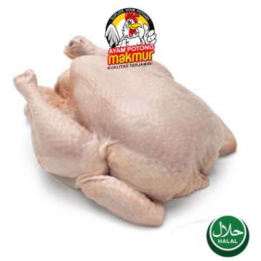 Ayam Broiler Karkas 1,1 - 1,2 Kg