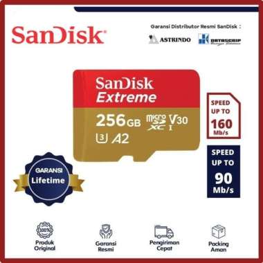 SANDISK EXTREME A2 MICRO SD 256 GB Memori HP 160Mbps MEMORY CARD MicroSD 256GB ORIGINAL Merah Coklat