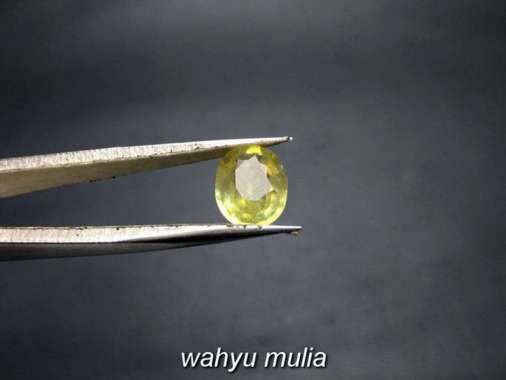 Batu Yakut Kuning Safir Asli (kode:779) Kuning