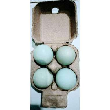 Telor Asin Brebes perbiji