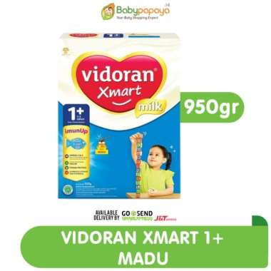 Vidoran Xmart 1