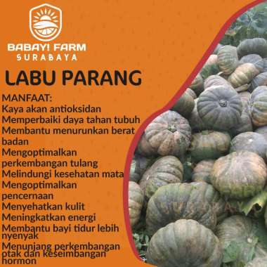 Labu Parang / Waluh Kuning