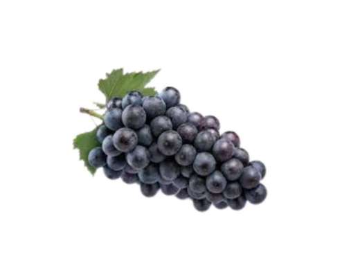 ANGGUR ADORA SEEDLESS