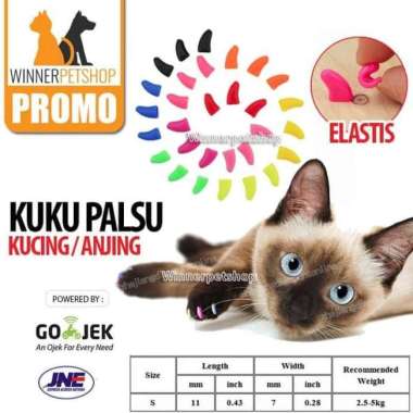 Harga Kuku Palsu Terbaru September 2021 BigGo Indonesia