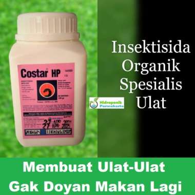 Costar HP Basmi Tuntas Ulat Pestisida Organik Insektisida Non Kimia [100 g]