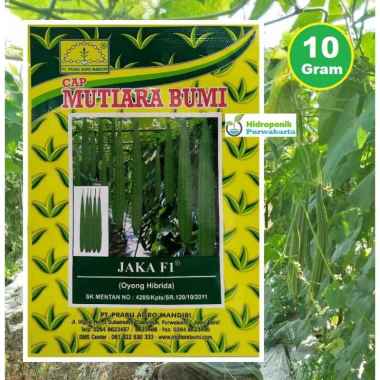 BENIH GAMBAS OYONG HIBRIDA JAKA F1 ISI 10 GRAM CAP MUTIARA BUMI