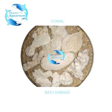 BATU KARANG HIASAN AQUARIUM 1KG | CORAL AQUARIUM | BATU KARANG AQUARIUM | BATU HIAS