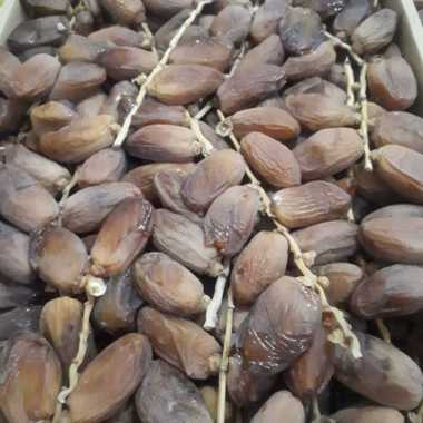 Kurma Tunisia Tangkai 5kg Kurma Palm Tunisia Tangkai 5 Kg