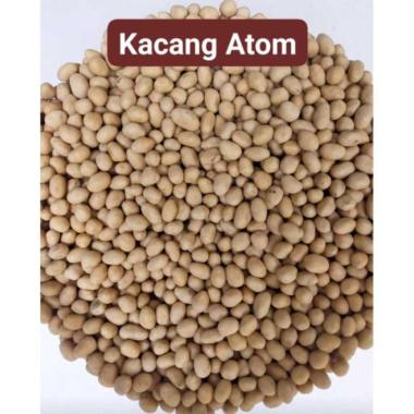 1kg kacang atom telur / oven Kacang Atom Bima