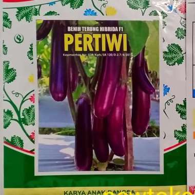 benih terong terung ungu panjang PERTIWI F1 250 butir smallpack
