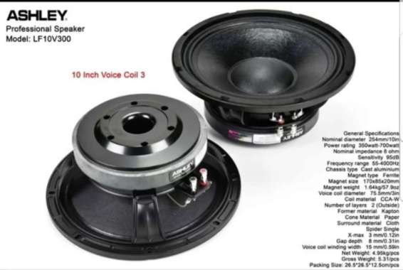 Speaker Ashley LF10V300 / LF 10V300 / LF10 V300 10INCH