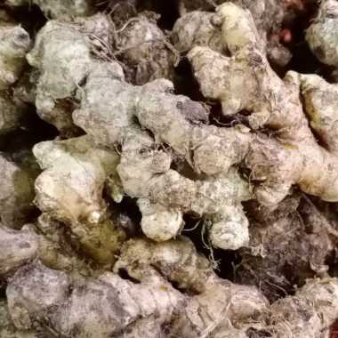 Jahe Emprit 500 gram | Jahai Wedang
